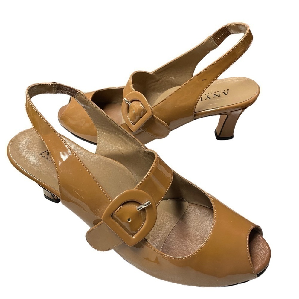 ANYI Lu Retro Mary Jane Peep Toe Strap Heel